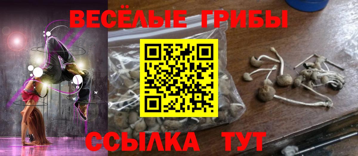 Псилоцибиновые грибы Magic Shrooms Озёрск