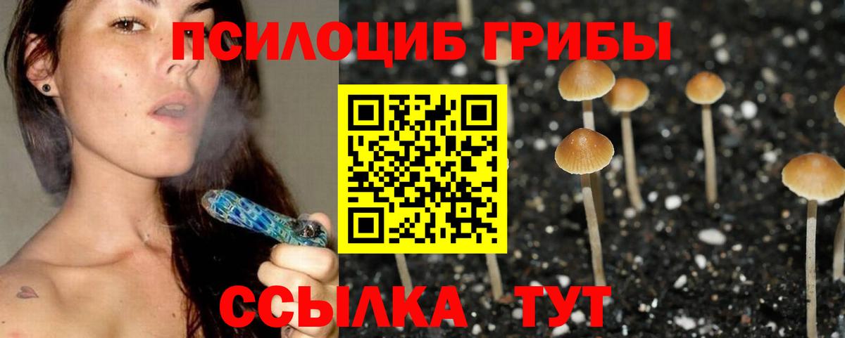 Озёрск  Псилоцибиновые грибы GOLDEN TEACHER  Вход с VPN 